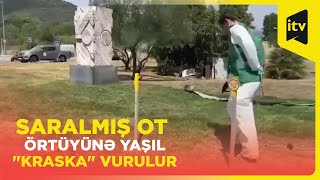 Fransa bələdiyyələrinin saxtakarlığı kameralara yansıdı: Saralmış ot örtüyünə yaşıl rəng vurulur