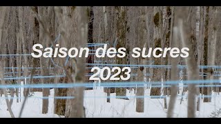 Saison des sucres 2023