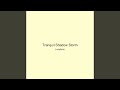 Tranquil Shadow Storm