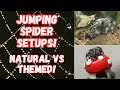 Jumping Spider Enclosure Setups : Natural VS Themed | Spooderpods