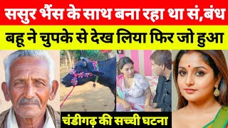 ये सच्ची घटना चंडीगढ़ की है || This is Real Story From Chandigarh | info at sana