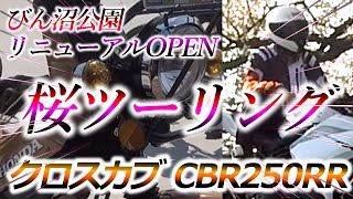 2023年春、埼玉🌸桜ツーリング！＆　びん沼公園リニューアルOPENでクロスカブオーナー様とお友達になりました！