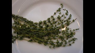 Thyme 101-Tips for Using Fresh vs Dried Thyme