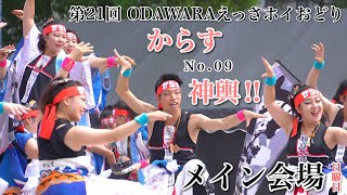 4K【鴉No.09】からす神輿‼︎_第21回 ODAWARAえっさホイおどり_2日目_メイン会場【2019年】α7III