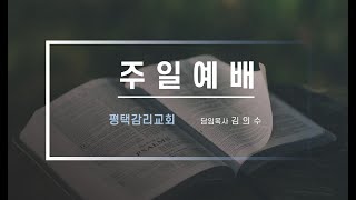 [평택감리교회] 2024-11-17 인생을 감사로 물들이다