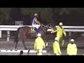 【第60回 中日杯 重賞 】2024 12 1 金沢競馬場