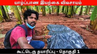 யாழிலும் இயற்கை விவசாயம் Jaffna organic Farming | Jaffna Suthan | Ep1