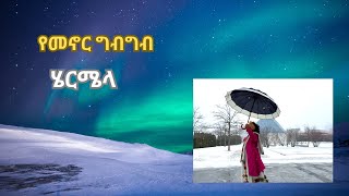 ለማመን የሚከብድ አቀማመጧ  [የማረካቸው] ሁሌም ይመኟታል YOU CANT BELIEVE HOW SHE IS {ATTRACTIVE }#missuniverse2023