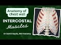 INTERCOSTAL MUSCLES ANATOMY