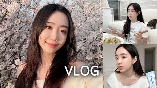 [VLOG] Daily VLOG. Cherry Blossom Festival 🌸 Pork Doenjang Pasta ｜ New Job｜ Suzume's Door Lock