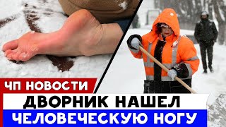 Дворник нашел человеческую ногу [Новости России]