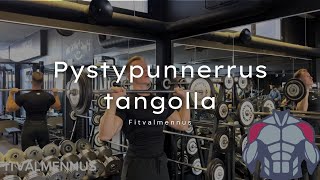 Pystypunnerrus tangolla