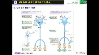 생리학 13주차 2 생리학 8장 뉴런