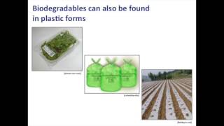 Biodegradable Polymers 1