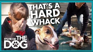 Victoria in Tears when Owner Smacks and Dominates Dog! | It's Me or The Dog