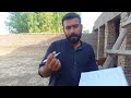 how to start bkra farming bkra farm bkra farming in pakistan