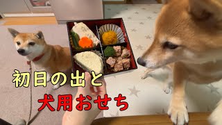 美味しそうなおせちを前にして一生懸命待つ柴犬が可愛い