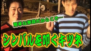 コンマニセンチの今日も全力！５８７　シンバルを叩くキツネ　Dookie comedian Commanicenti!