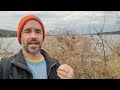 river locust collecting seed in winter