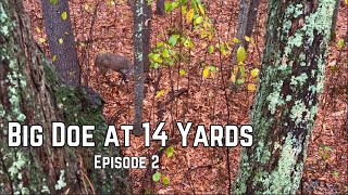 Bowhunting Massachusetts Public -- Doe Down in 20 -- Episode 2