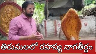 తిరుమలలో రహస్య నాగ తీర్థం..|| tirumala naga theertham || journalist varma