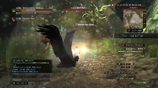 【DDON】第2回 白竜杯 歪みの執行人・限界域 00'57\