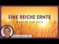 208 Ein Kurs in Wundern EKIW | Wiederholung 188 | mit Gottfried Sumser