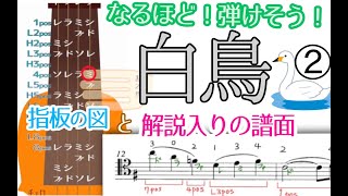 【チェロ講座】白鳥を弾こう！後編 (初心者〜中級者向け)