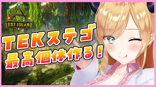 【ARK】有識者求む！TEKステゴブリ！【ホロライブ/癒月ちょこ】