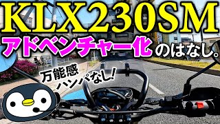 KLX230SMをアドベンチャー化した話