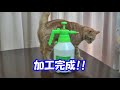 【簡単 diy】ダイソー噴霧器 激泡洗車 【最高】