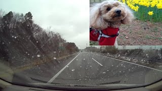 車載動画/常磐道/那珂IC→常磐道→守谷SA(Onboard camera/Japan/Joban Expressway)