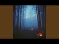 Echoes of a Flame