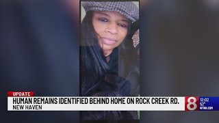 Human remains found near brush area behind house in New Haven identified