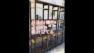 【2０秒でわかる木工DIY】一人でドデカ棚を仮組み