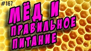 🍯 мёд и правильное питание 🍯