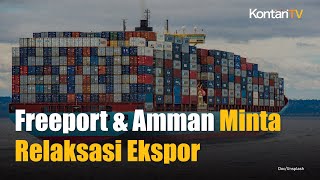 Smelter Belum Beroperasi Penuh, Freeport dan Amman Minta Relaksasi Ekspor | KONTAN News