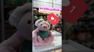 قشنگ‌ترین و بامزه‌ترین مغازه دنیا