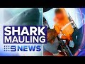 Man loses foot in vicious Queensland shark attack | Nine News Australia