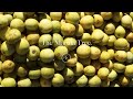 The Marula Tree.