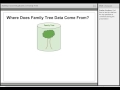 Finding and Merging Duplicate Records in the Family Tree - Kathryn Grant