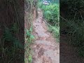 solo hiking pendaki nafas tua, pendakian gunung Andong PART 7, video lengkap cek deskripsi #shorts