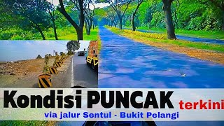 RIDING SANTUY LIHAT KONDISI PUNCAK TERKINI | JALUR BUKIT PELANGI