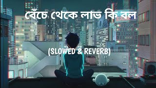 Benche Theke Labh Ki Bol (Slow Reverb + Lofi) | Rangbaaz | Dev | Koel | Arijit Singh | Jeet Gannguli