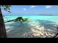 pov dhangethi is a stunning island 4k binaural audio🎧