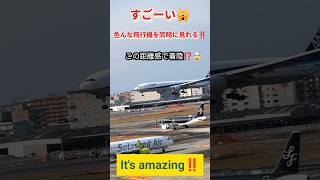 【すごーい‼️色んな飛行機を同時に見れる🤩この距離感で着陸⁉️🤯】#ANA #plane #飛行機 #飛行場 #비행기 #shorts #福岡空港 #オススメスポット #JAL #airport