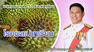 โรคผลเน่าทุเรียน