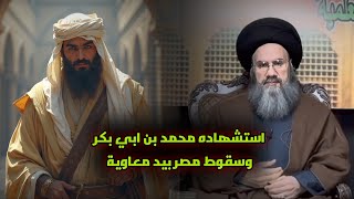 سيرة أمير المؤمنين علي عليه السلام ج15 سقوط مصر في يد معاوية ومأساة وشهادة محمد بن بكر