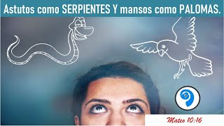 ASTUTOS como las Serpientes y MANSOS como las palomas