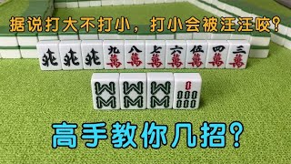 广东麻将 :麻将技巧：据说打大不打小，打小会被汪汪咬？高手教你几招？